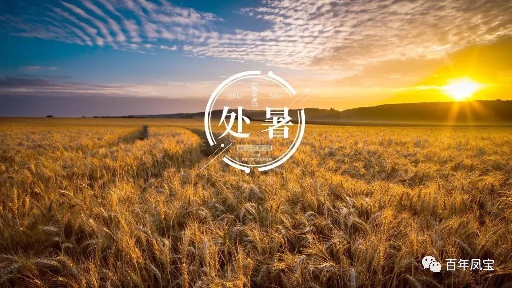 二十四节气|处暑