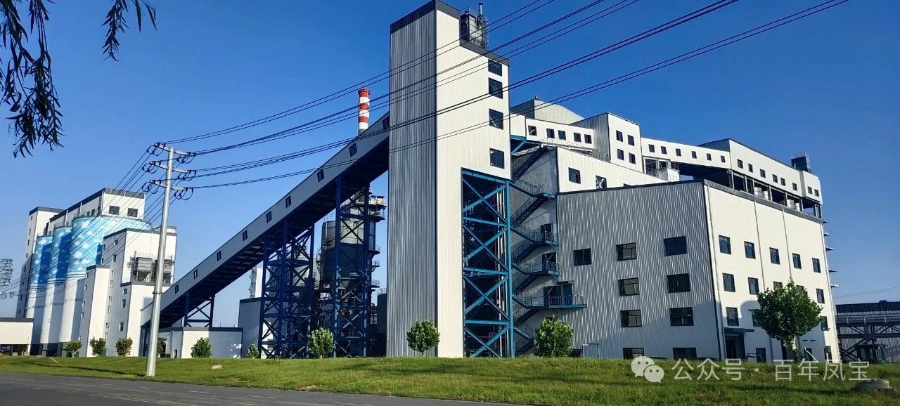 宋争辉到凤宝集团调研